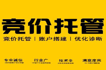 百度SEM推广案例解析：成功秘诀大公开